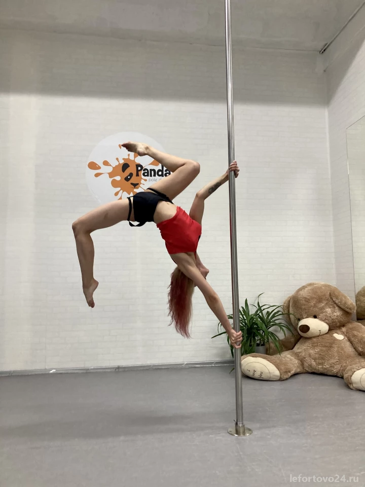 Studio Panda Pole Dance Изображение 5