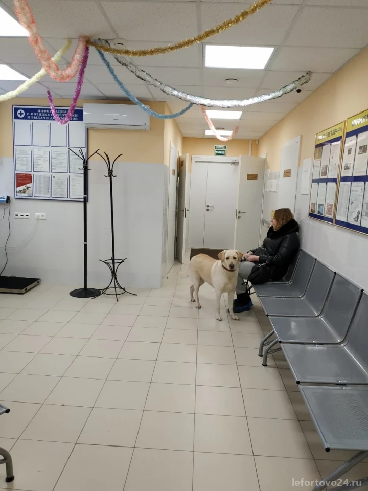 Ветеринарная клиника Калининская участковая ветеринарная лечебница Изображение 4