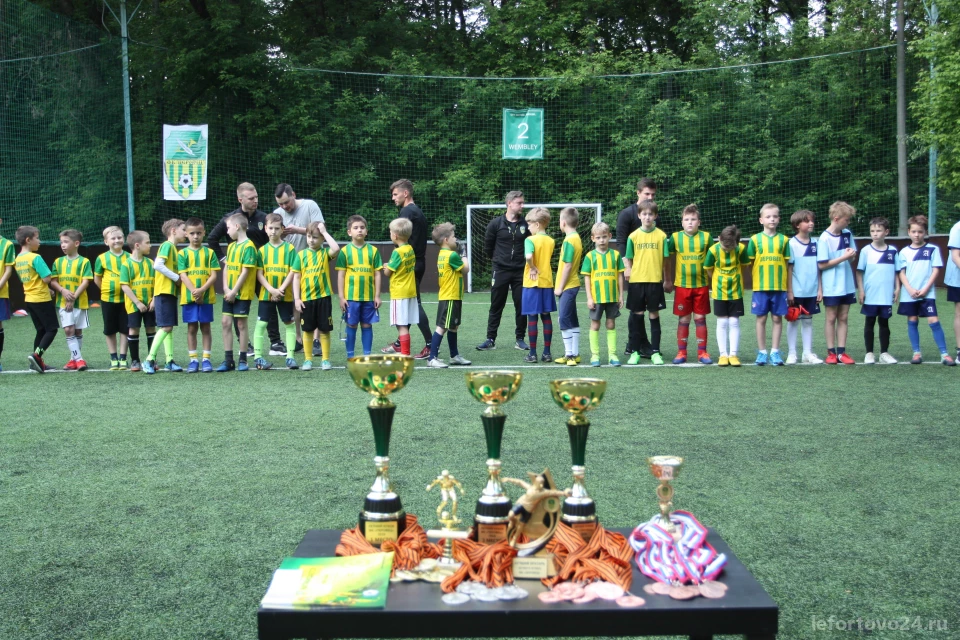 Детская футбольная школа Перовец на Авиамоторной улице Изображение 3
