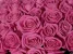 Цветочная студия Almond Roses Изображение 20